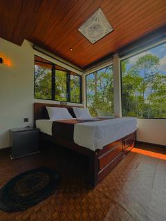 Rainforest cabin - 5