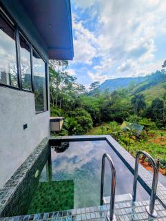 Rainforest cabin - 4