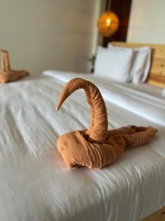 Ella Forest Eco View - 9