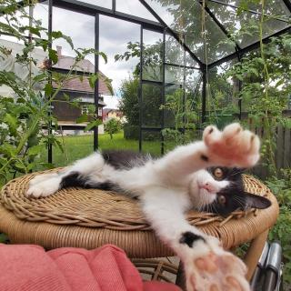 The Garden Residence - 4