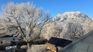 The Garden Residence - 1