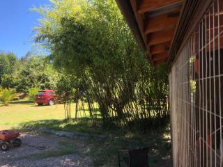 El Humedal del Raco - 9