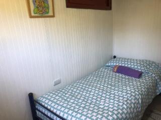 El Humedal del Raco - 4