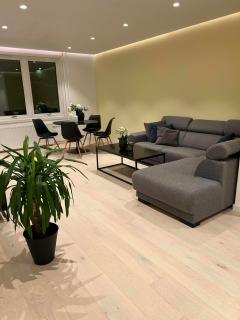 Mannsverk Nordic Apartment - 0