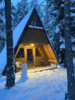 Vila Djordje Žabljak - 9