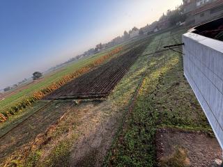 Standalone countryside house - 3