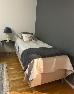 Nygatan 11 downtown apartment - 9