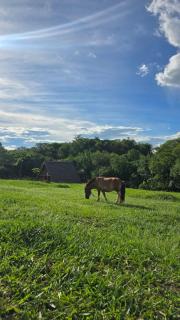 Cabaña Ña Virginia - 0