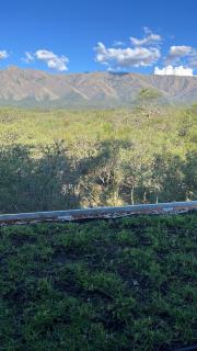 Casa Estudio Japandi - 6