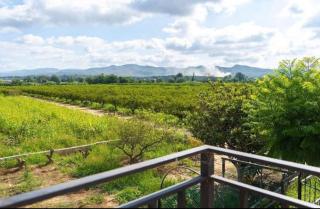 chalet en vinallop - 6