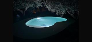 Villa Otto Ulivi con Piscina Privata - 9