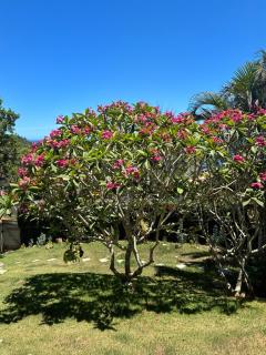 Maravilha Pousada e Centro de Retiros - 5