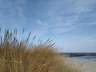 Ferienwohnung Birklund - 4