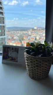 -Sky House-DOMUSES APARTMENTS- Luxurious apartment with parking - 9