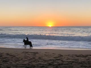 Depto terraza techo condominio Algarrobo - 3