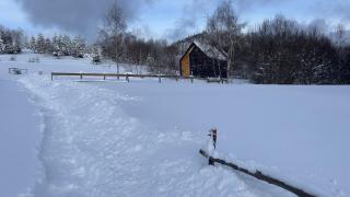 MC Na Leśnej Polanie - 7