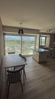 Andean Sky - Mendoza from above - 7