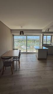 Andean Sky - Mendoza from above - 5