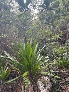 Maravilla Bayahibe , Stylish Apartment, Pool a Wifi - 5