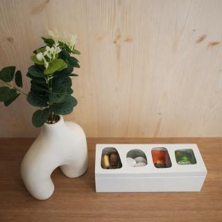 Tiny House Eole - Proche Issoudun, Safran, Rwe - 5