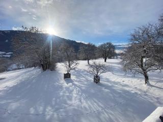 Hansbauer Appartments - 6