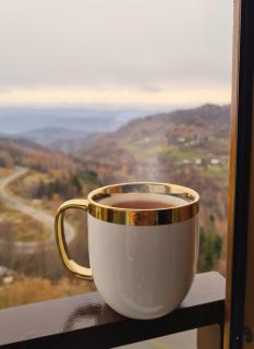 Mountain Side Kopaonik - 1