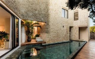 Casa Viva Gym Jungle Zen Oasis Wabi Sabi - 0