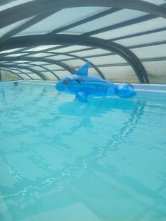 Domek z kominkiem i jacuzzi - 9