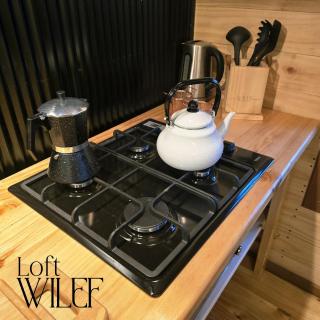 Loft Wilef - 1