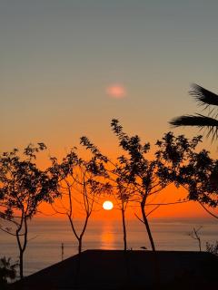 Villa Jasmin Guesthouse - 3