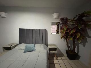 Alojamiento en el centro de tlaquepaque - 3