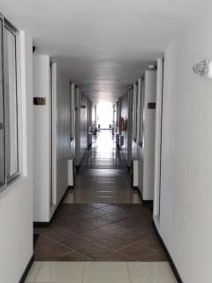 colibri cafeterito - 2