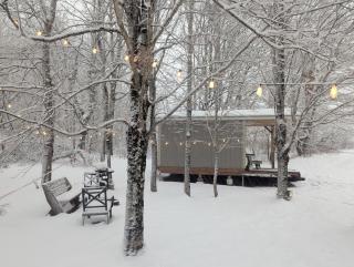 Field and Fern Cottages - 8