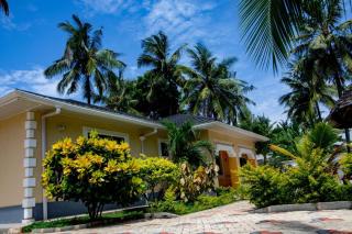 Shikari Luxville - 6