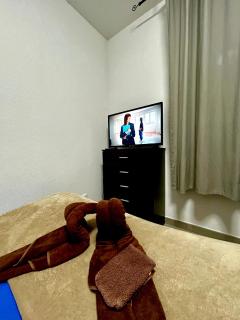Chambre privée chez habitant à Sète - 5