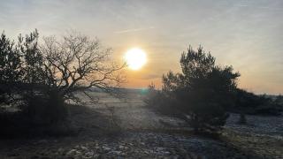 Vakantiehuisje Kootwijk - 8