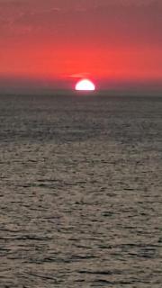 Apartmani Vila Delfin - 3