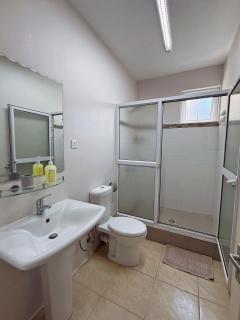 La Marquise - Coquillage - 8