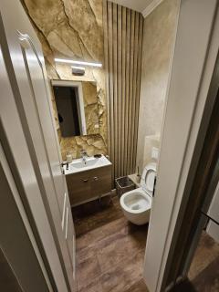 delux 2 family penthouse - 3