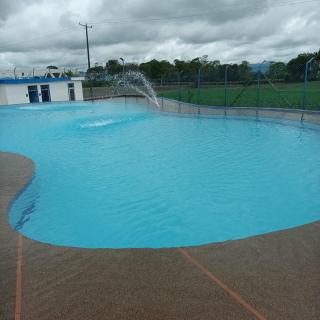 Colibrí cafeterito - 2