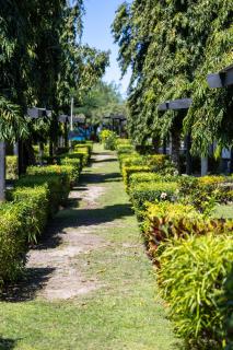 Coralview Island Resort - 6