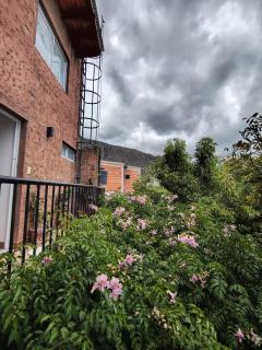 Departamento Tannat de paseo las viñas 1 - 2