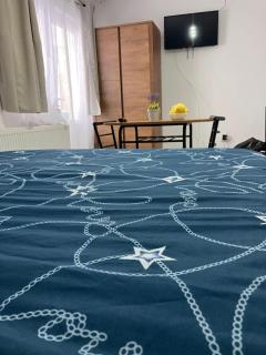 Garsoniera Goldis - 4