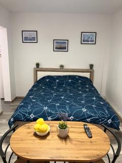 Garsoniera Goldis - 8