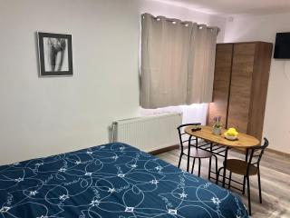 Garsoniera Goldis - 3