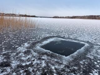 Mahoniówka Mikołajki - 6