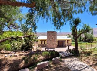 El Molle de Uquia - 0