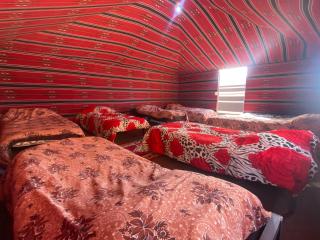 Wadi Rum Desert Experience - Wadi Rum - 8