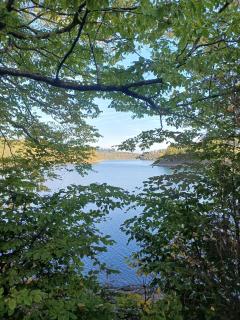 Appartement au bord du lac de l'eau d'heure - 8
