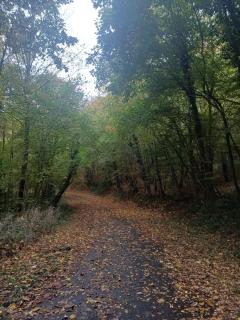 Appartement au bord du lac de l'eau d'heure - 1